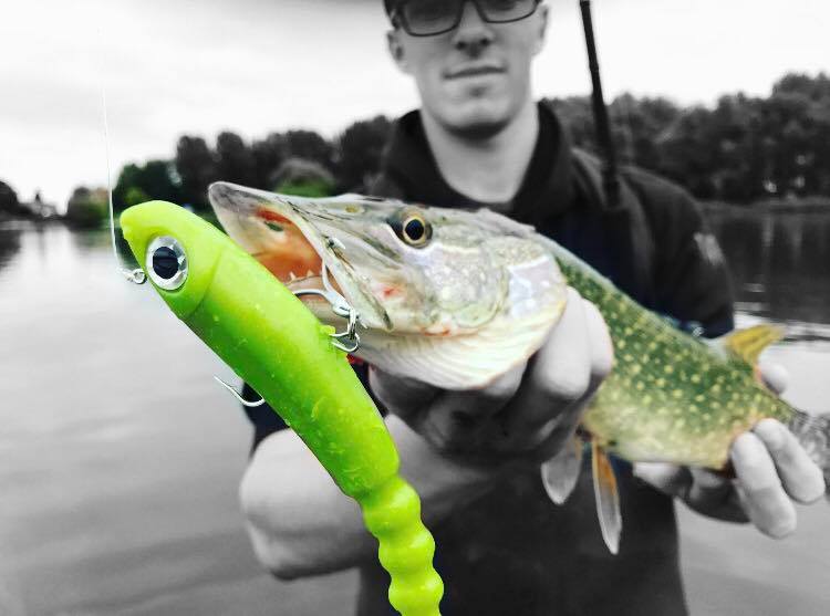 Ch'ti shad 17cm Prémonté
